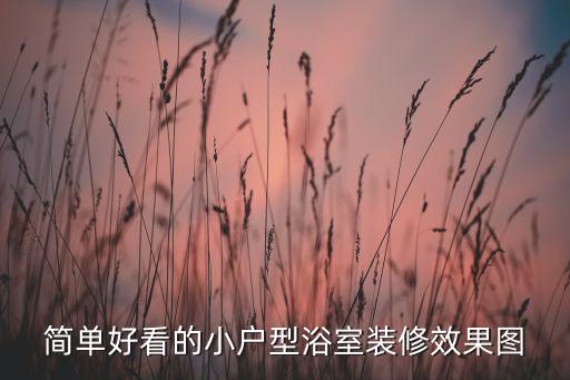 地毯衛(wèi)浴設(shè)計(jì)圖片欣賞視頻