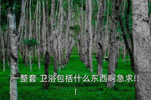 一整套 衛(wèi)浴包括什么東西啊急求!!!
