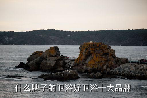 什么牌子的衛(wèi)浴好衛(wèi)浴十大品牌