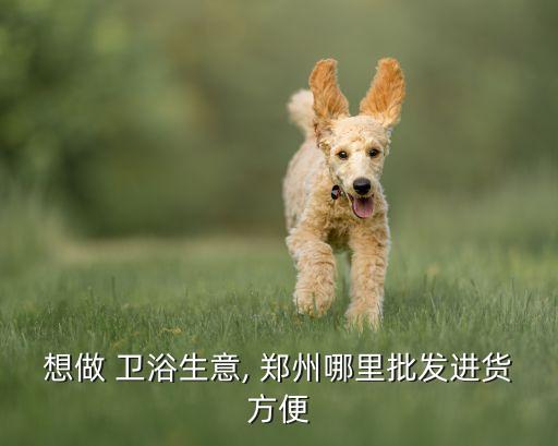 想做 衛(wèi)浴生意, 鄭州哪里批發(fā)進貨方便