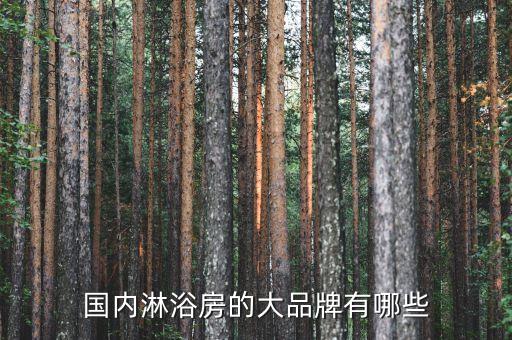 國內(nèi)淋浴房的大品牌有哪些