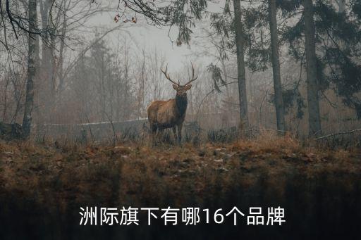 洲際酒店用的衛(wèi)浴品牌,五星級(jí)酒店衛(wèi)浴品牌