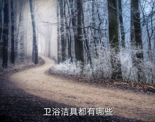  衛(wèi)浴潔具都有哪些