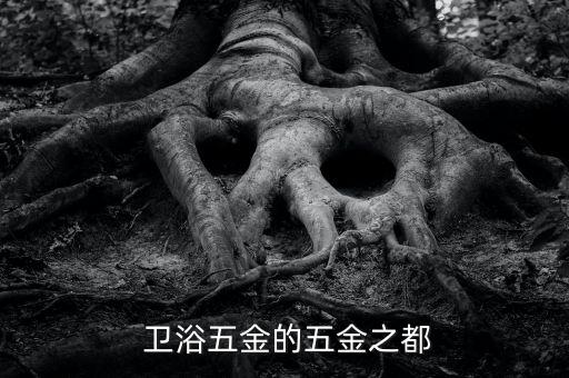  衛(wèi)浴五金的五金之都