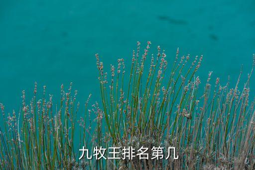  九牧王排名第幾