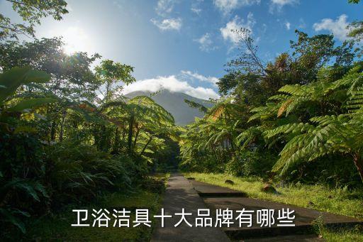  衛(wèi)浴潔具十大品牌有哪些