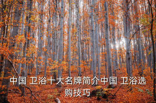 品牌衛(wèi)浴配置方案怎么寫