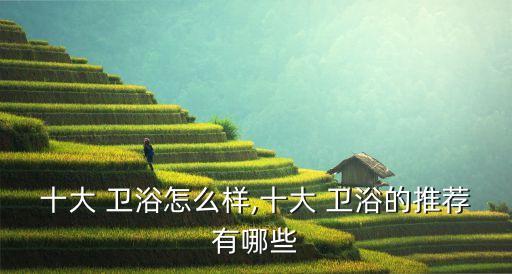 衛(wèi)浴怎么選荊州店的品牌