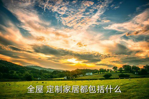 全屋 定制家居都包括什么