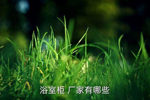 潔亮衛(wèi)浴制品廠家地址