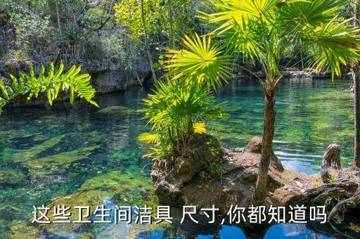 樂臣衛(wèi)浴尺寸圖片大全