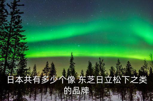 日本共有多少個像 東芝日立松下之類的品牌