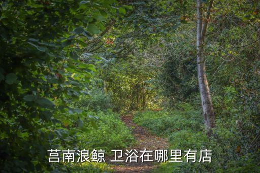 莒南浪鯨 衛(wèi)浴在哪里有店