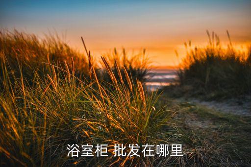 山南市衛(wèi)浴批發(fā)電話