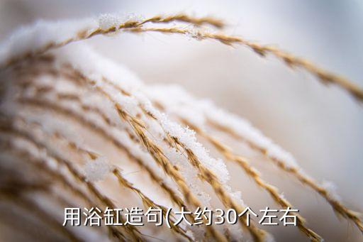 用浴缸造句(大約30個(gè)左右