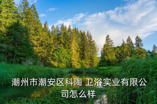  潮州市潮安區(qū)科陶 衛(wèi)浴實(shí)業(yè)有限公司怎么樣