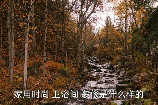 家用時尚 衛(wèi)浴間 裝修是什么樣的