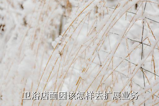 景縣合星衛(wèi)浴家裝店地址