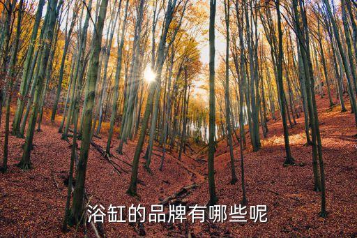 浴缸的品牌有哪些呢