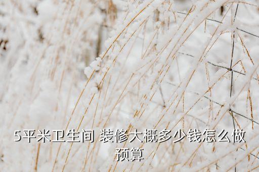 5平米衛(wèi)生間 裝修大概多少錢怎么做預(yù)算