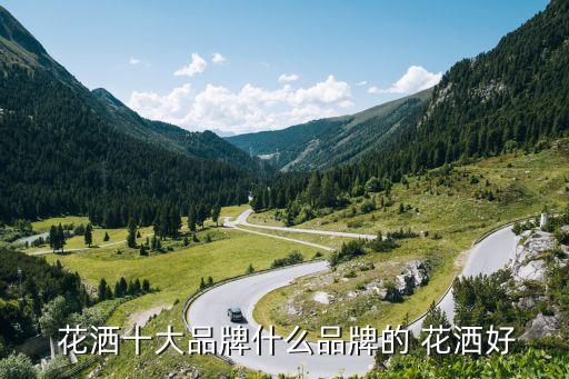 衛(wèi)浴過(guò)濾花灑套裝圖片,衛(wèi)浴花灑套裝什么牌子好