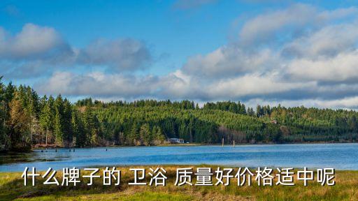 什么牌子的 衛(wèi)浴 質(zhì)量好價(jià)格適中呢