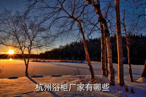 杭州浴柜廠家有哪些