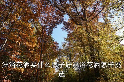 必買衛(wèi)浴清單價格表圖片