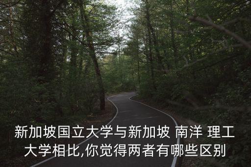 新加坡國立大學(xué)與新加坡 南洋 理工大學(xué)相比,你覺得兩者有哪些區(qū)別