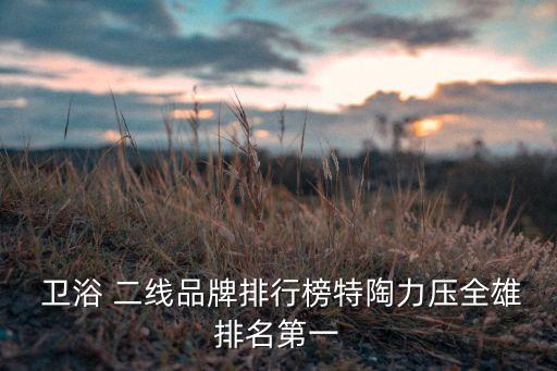 好用的二線衛(wèi)浴品牌,前50名二線衛(wèi)浴品牌排行