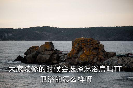 大家裝修的時候會選擇淋浴房嗎TT 衛(wèi)浴的怎么樣呀
