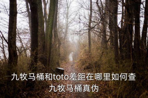 九牧馬桶和toto差距在哪里如何查九牧馬桶真?zhèn)? class=