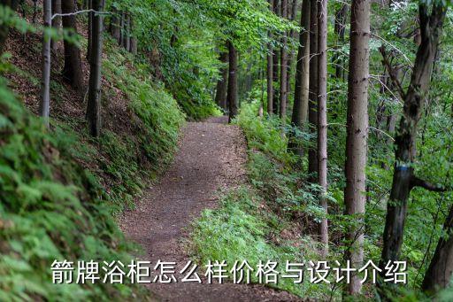  箭牌浴柜怎么樣價(jià)格與設(shè)計(jì)介紹
