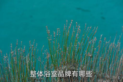 無錫衛(wèi)浴品牌名字推薦大全