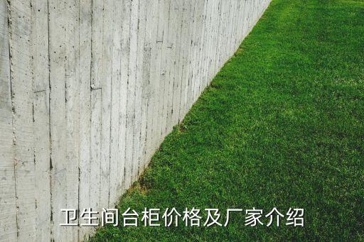 衛(wèi)生間臺(tái)柜價(jià)格及廠家介紹