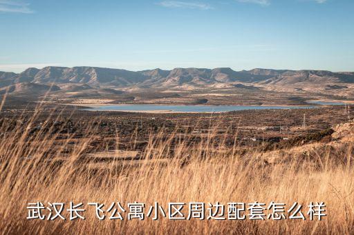 武漢長飛公寓小區(qū)周邊配套怎么樣