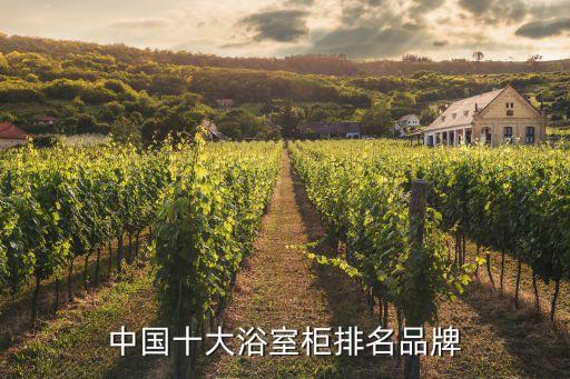 中國(guó)十大浴室柜排名品牌