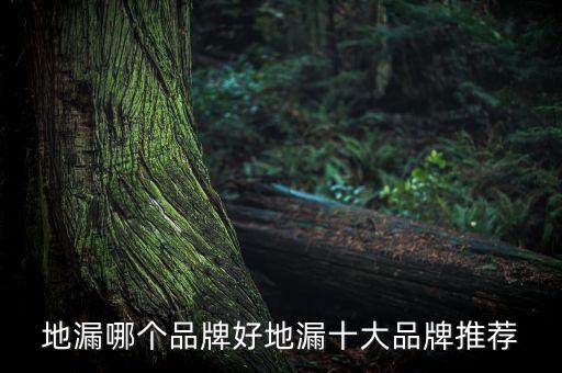 地漏哪個品牌好地漏十大品牌推薦