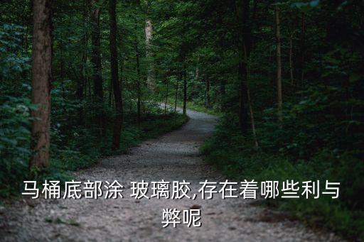 馬桶底部涂 玻璃膠,存在著哪些利與弊呢