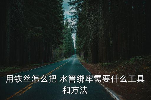 衛(wèi)浴水管鉗子圖片大全大圖