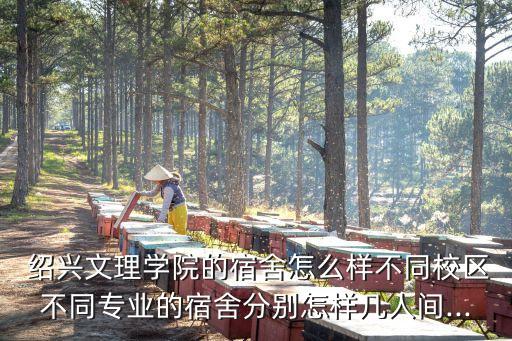  紹興文理學(xué)院的宿舍怎么樣不同校區(qū)不同專業(yè)的宿舍分別怎樣幾人間...