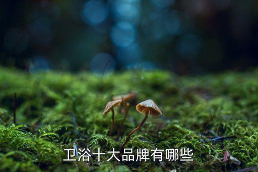 衛(wèi)浴十大品牌有哪些