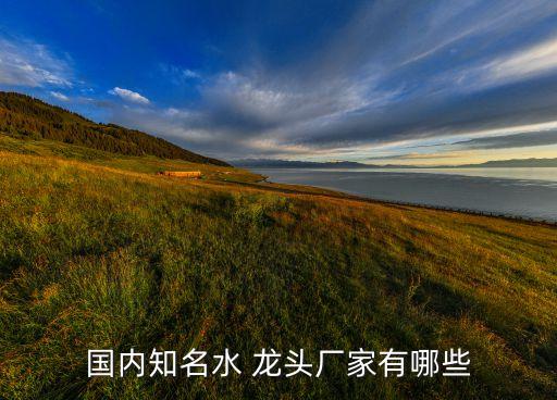 國內知名水 龍頭廠家有哪些
