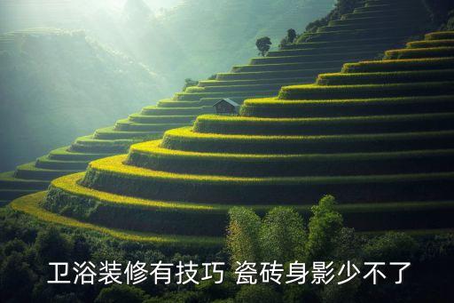  衛(wèi)浴裝修有技巧 瓷磚身影少不了