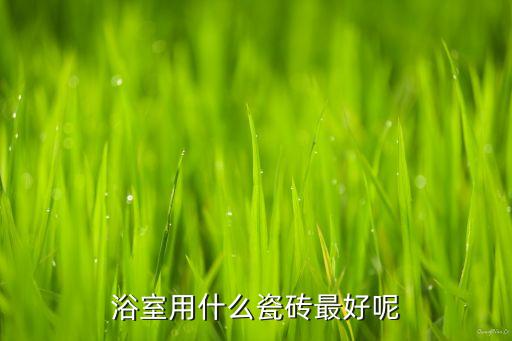 浴室用什么瓷磚最好呢