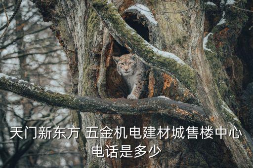 天門新東方 五金機(jī)電建材城售樓中心電話是多少