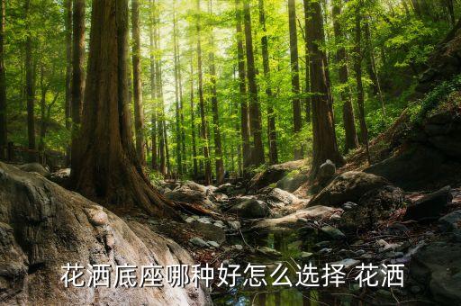  花灑底座哪種好怎么選擇 花灑