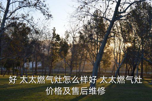 好 太太燃?xì)庠钤趺礃雍?太太燃?xì)庠顑r(jià)格及售后維修