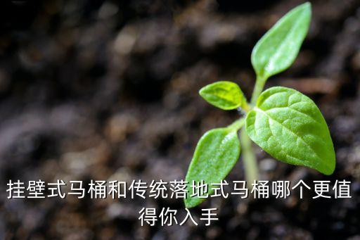 衛(wèi)浴新款掛便器圖片
