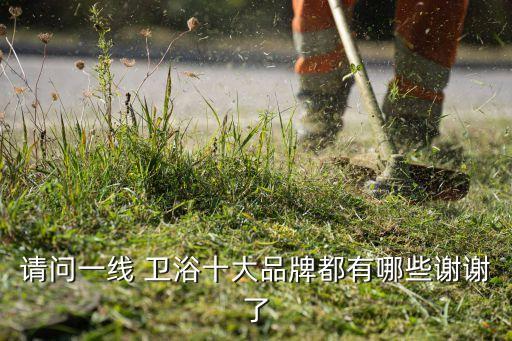 請問一線 衛(wèi)浴十大品牌都有哪些謝謝了